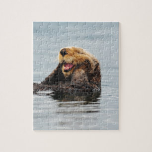 Puzzle Nutria de mar de Alaska