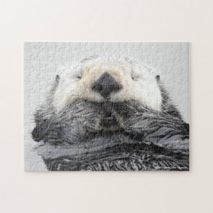 Puzzle Nutria de mar el dormir