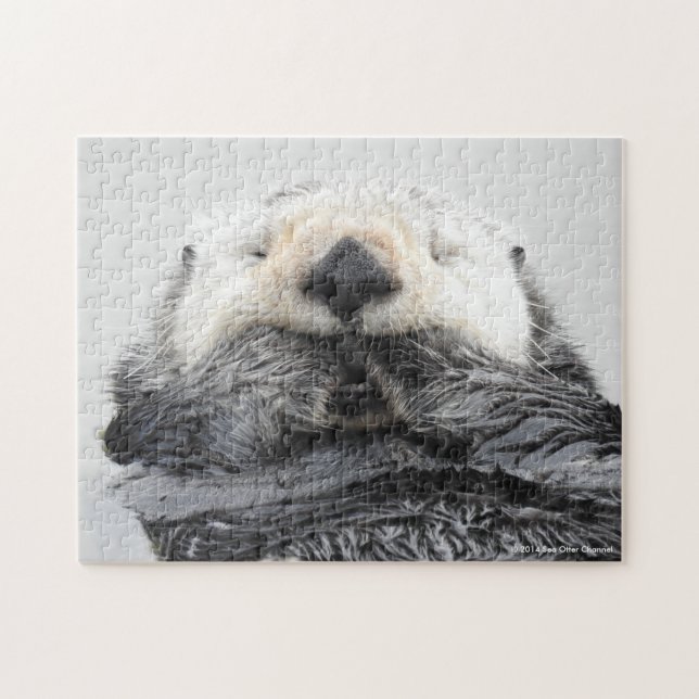 Puzzle Nutria de mar el dormir (Horizontal)