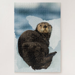 Puzzle Nutria de mar fría