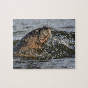 Puzzle nutria de río
