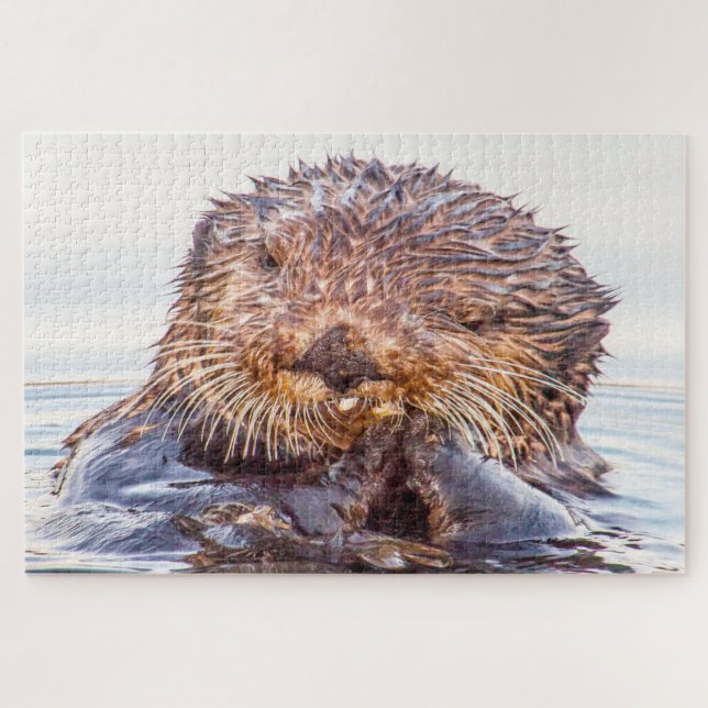 Puzzle Nutria marina (Horizontal)