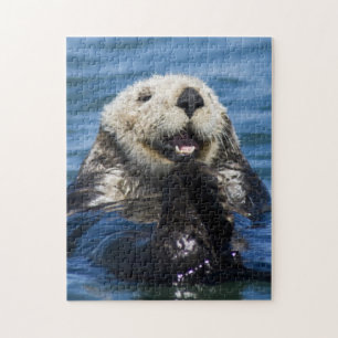 Puzzle Nutria marina de California Enhydra lutris) se aci