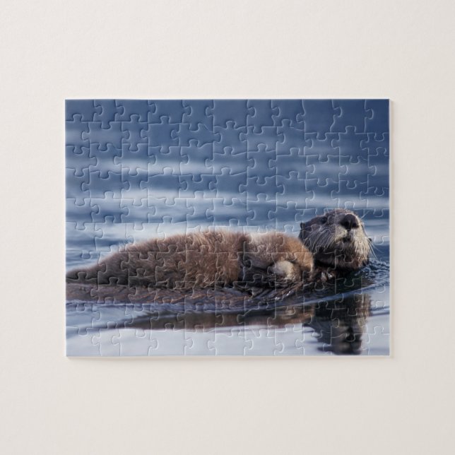 Puzzle nutria marina, Enhydra lutris lutris (Horizontal)