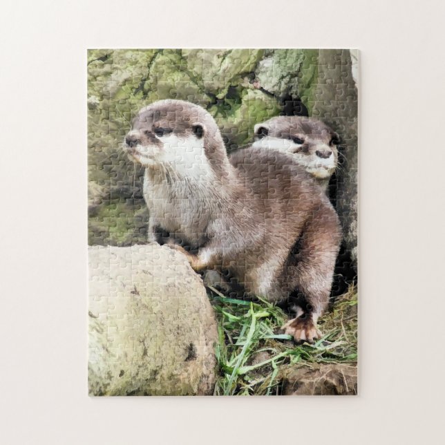 PUZZLE NUTRIAS (Vertical)