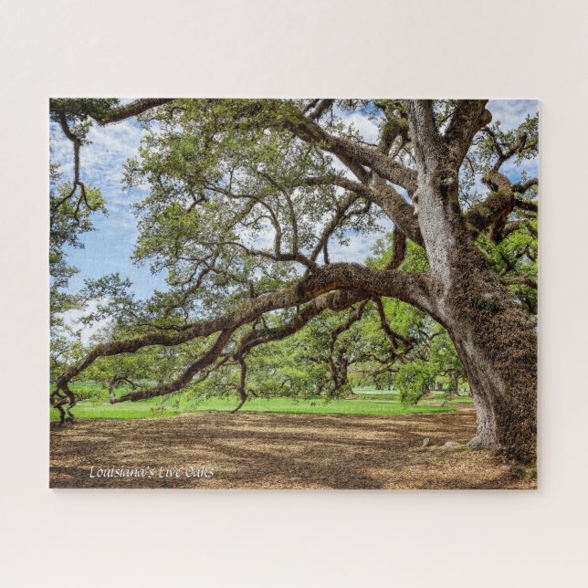 Puzzle Oble en vivo de Luisiana, (Horizontal)