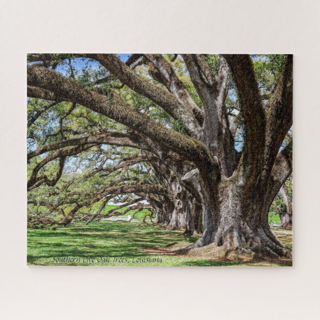 Puzzle Obles del sur de Luisiana (Horizontal)