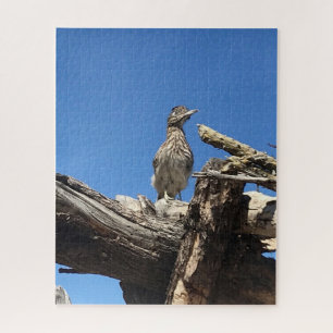 Puzzle Observando al Sr. Coyote