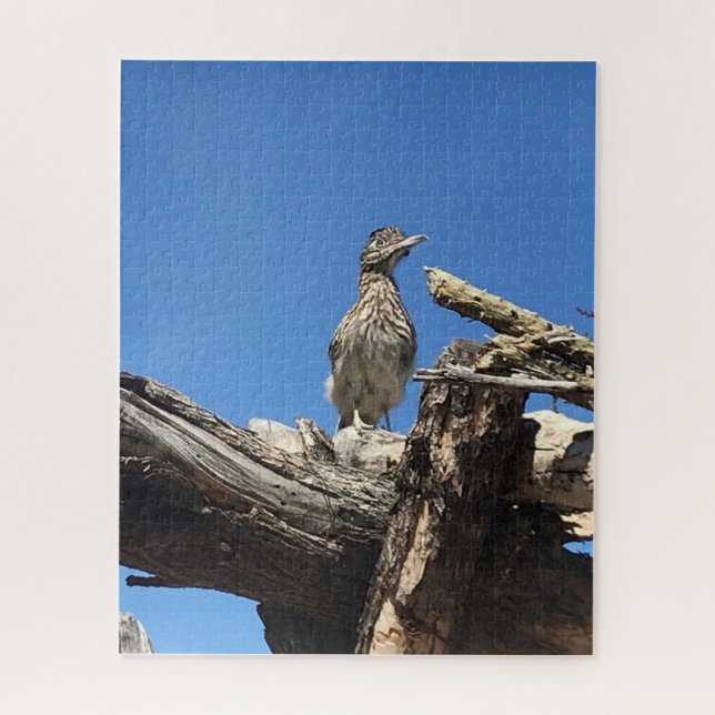 Puzzle Observando al Sr. Coyote (Vertical)