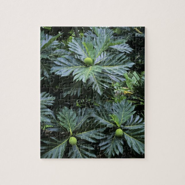 Puzzle Oceanía, Pacífico Sur, Polinesia Francesa, (Vertical)