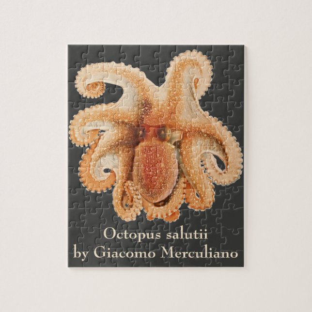 Puzzle Octopus Salutii, Animales Acuáticos Marinos (Vertical)