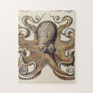 Puzzle Octopus vintage caldeado por Ernst Haeckel