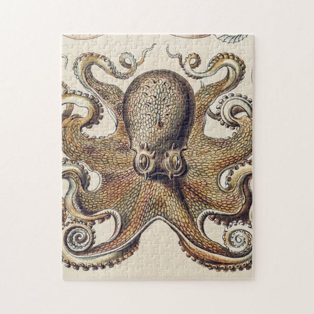 Puzzle Octopus vintage caldeado por Ernst Haeckel (Vertical)