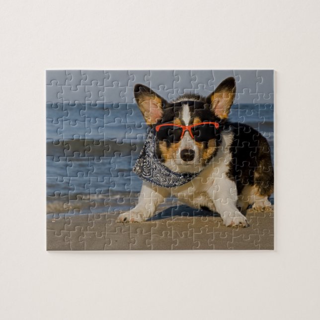 Puzzle Oficial de patrulla de la playa (Horizontal)