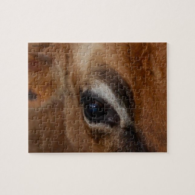 Puzzle Ojo de la vaca (Horizontal)