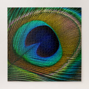 Puzzle Ojo de pluma de pavo real