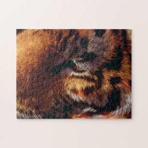 Puzzle Ojo de Tigre Dorado Primer Plano Fauna 
