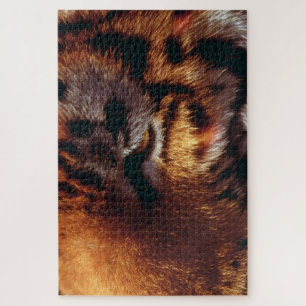 Puzzle Ojo de Tigre Dorado Primer Plano Fauna 