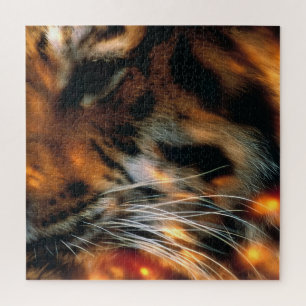 Puzzle Ojo de Tigre Dorado Primer Plano Fauna