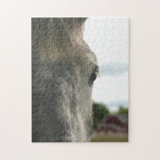 Puzzle Ojo De Un Animal De Caballo