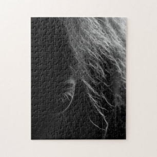 Puzzle Ojo De Un Caballo