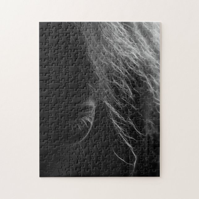 Puzzle Ojo De Un Caballo (Vertical)