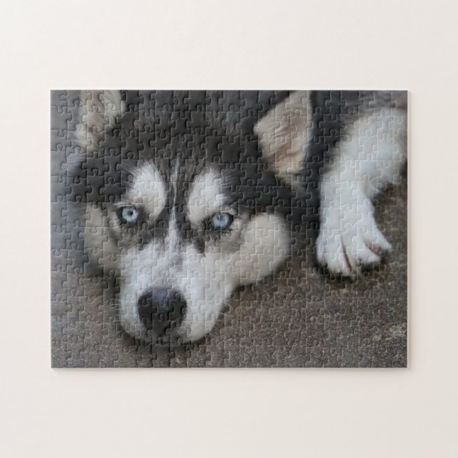 Puzzle Ojos azules de Huskey (Horizontal)