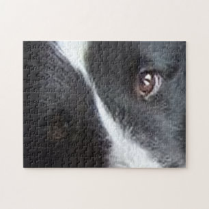 Puzzle Ojos de Shetland Sheepdog