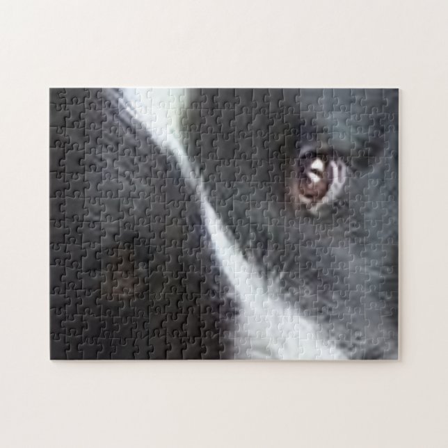 Puzzle Ojos de Shetland Sheepdog (Horizontal)