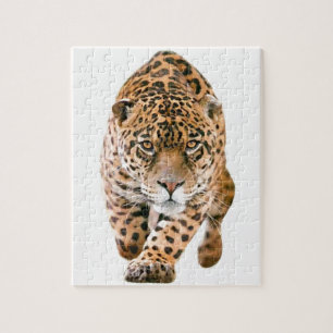 Puzzle Ojos Jaguares especiales exclusivos