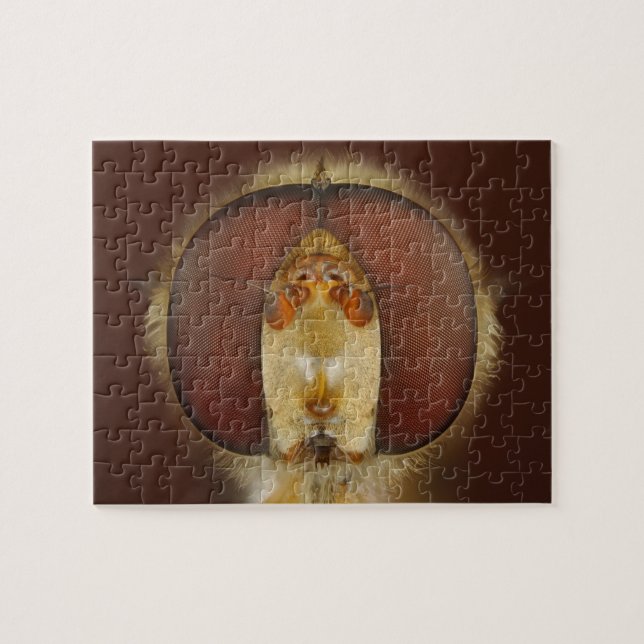 Puzzle Ojos principales y compuestos de una mosca de la (Horizontal)