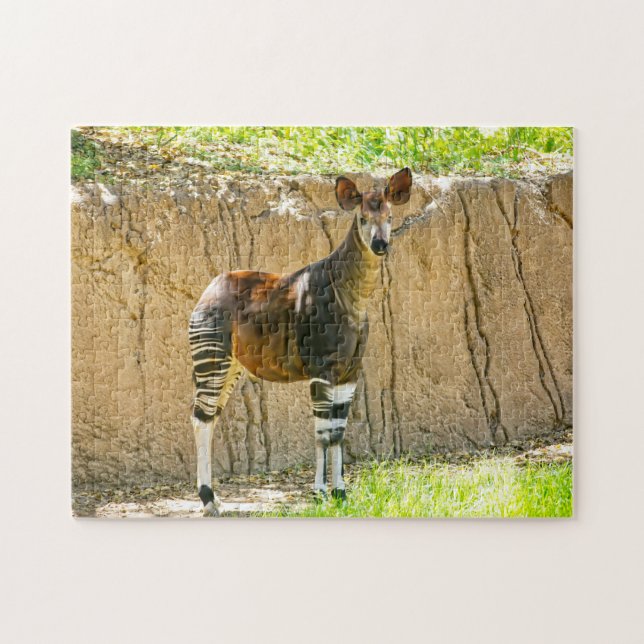 Puzzle Okapi (Horizontal)