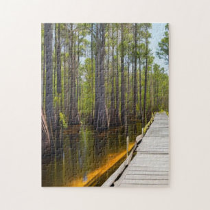 Puzzle Okefenokee Swamp