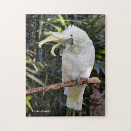 Puzzle Olas de coco con crema de azufre al fotógrafo