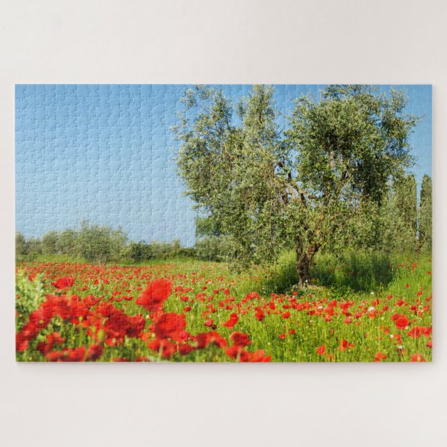 Puzzle Olivo en campo de la amapola en verano (Horizontal)