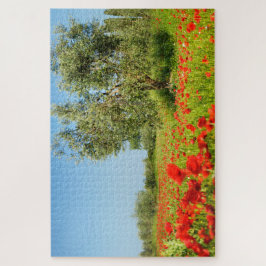 Puzzle Olivo en campo de la amapola en verano
