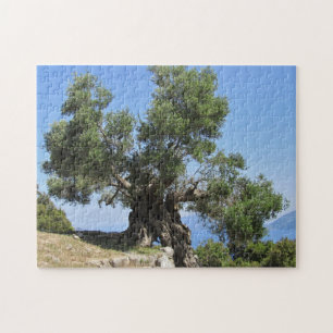 Puzzle Olivo griego (Kefalonia)