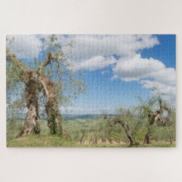 Puzzle Olivos antiguos en un paisaje de la Toscana