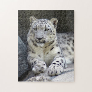 Puzzle onza 6