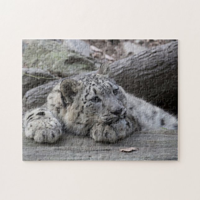 Puzzle Onza agujereada Cub (Horizontal)
