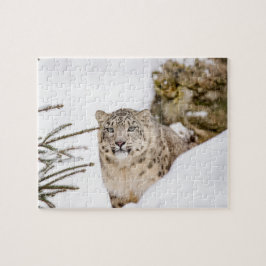 Puzzle Onza en la nieve