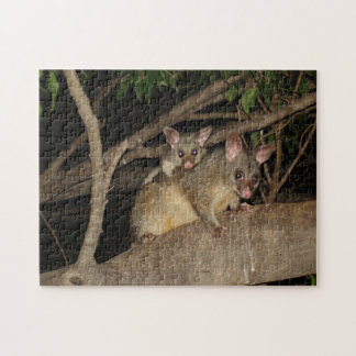 Puzzle Oposums de Brushtail