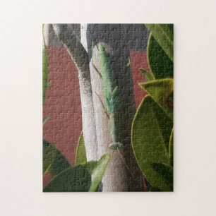 Puzzle Orando a Mantis