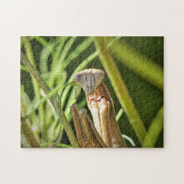 Puzzle Orando a Mantis (Horizontal)