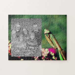 Puzzle Orando Marco Mantis Crea Tu Propia Foto