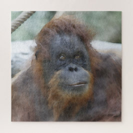 Puzzle Orang acuarela