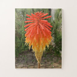 Puzzle Orange and Yellow Flower
