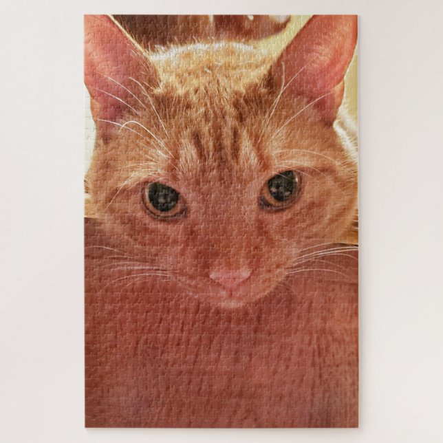 Puzzle Orange/Ginger Cute and Fuzzy Tabby Cat (Vertical)