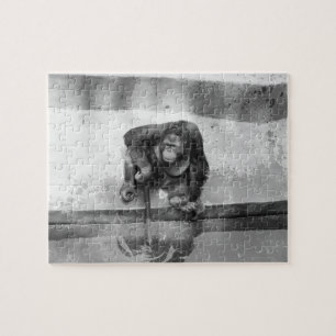 Puzzle Orangután
