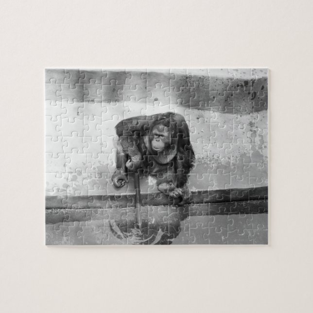 Puzzle Orangután (Horizontal)